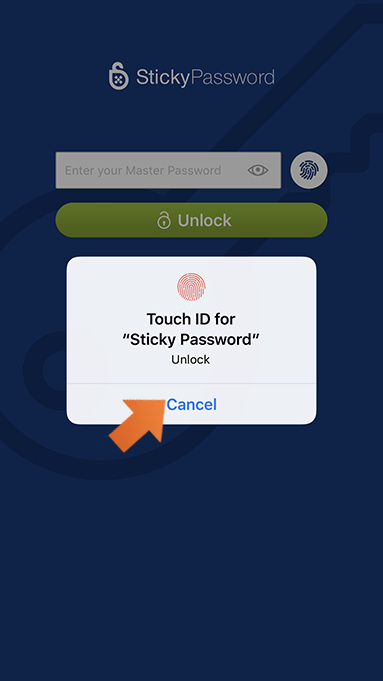 Biometrics: Touch ID and Face ID authentication on your iPhone or iPad. - to unlock with Master Password tap Cancel.
